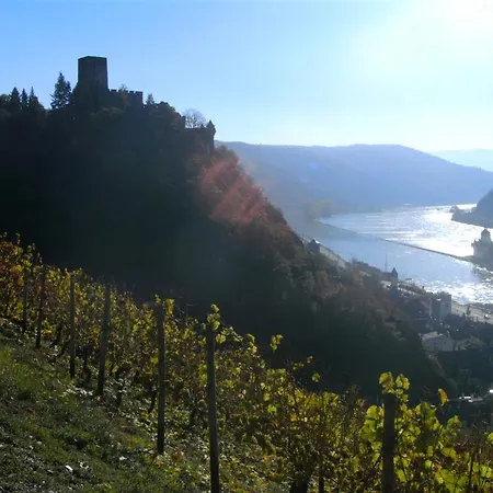 Weingut Am Lowenkopf Appartamento Kaub